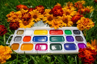 Yeşil çimenlerin ve çiçeklerin arka planında açık suluboya boyalar ve çimenlerin üzerinde kırmızı çiçekler. Öğrenme kavramı çiziliyor