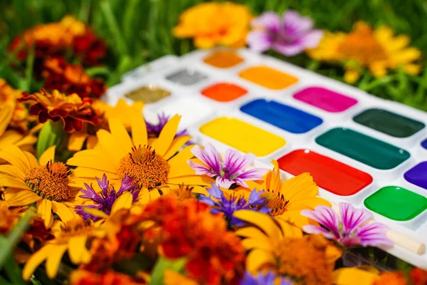 Selektiver Fokus auf rote und gelbe Blumen, unscharf geöffnete Aquarellfarben auf einem Hintergrund aus grünem Gras und Blumen gelb, rot auf dem Gras. Lernkonzept erstellen — Stockfoto