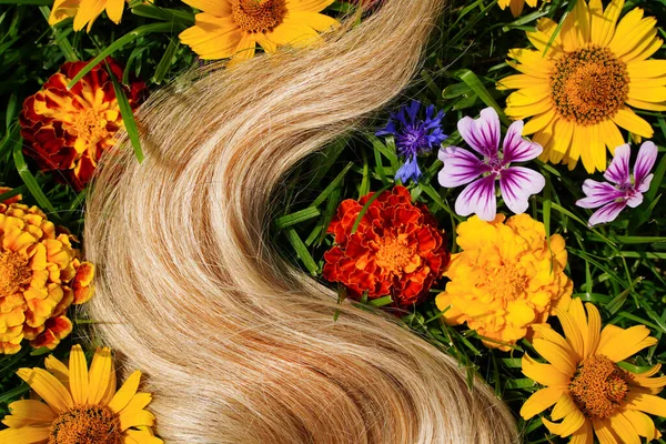 Une mèche de cheveux blonds parmi les fleurs, sur l'herbe verte. Concept de santé capillaire, ingrédients naturels cosmétiques, soins capillaires, santé et force. — Photo