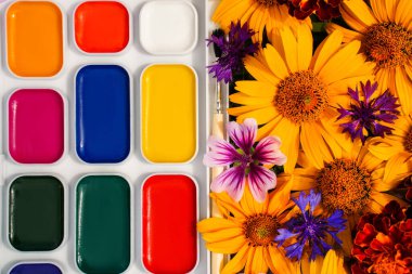 Çizim ve çiçekler için çok renkli boyalar, doğanın renkleri..