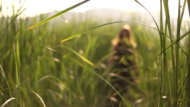 Mädchen zu Fuß in einem Feld — Stockvideo
