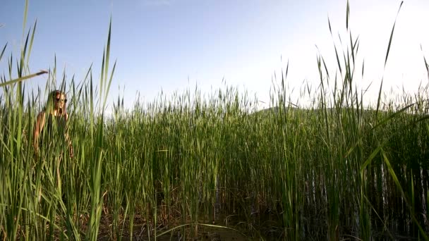 Fille dans une robe noire et des lunettes de soleil marchant dans le champ avec de l'herbe haute — Video