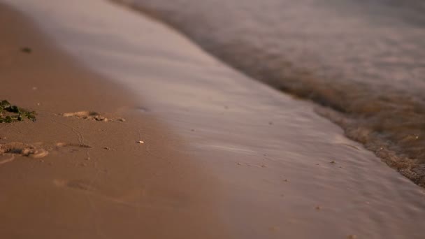 Θηλυκές γυναίκες πόδια ξυπόλυτοι στην άμμο παραλία στο νερό — Αρχείο Βίντεο
