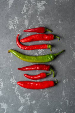 Taze kırmızı ve yeşil biberler çimento arka planda eşit olarak serili..