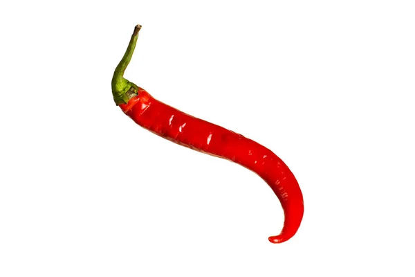 Fresh Red Chili Peppers Hanging Air White Background Isolate Copying — Stock Photo, Image