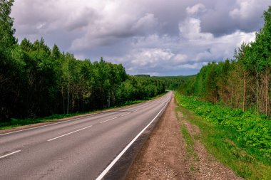 Asfalt bir şehirler arası yol, yeşil bir ormandan geçen beyaz işaretler var..