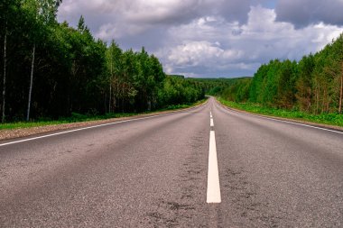 Asfalt bir şehirler arası yol, yeşil bir ormandan geçen beyaz işaretler var..