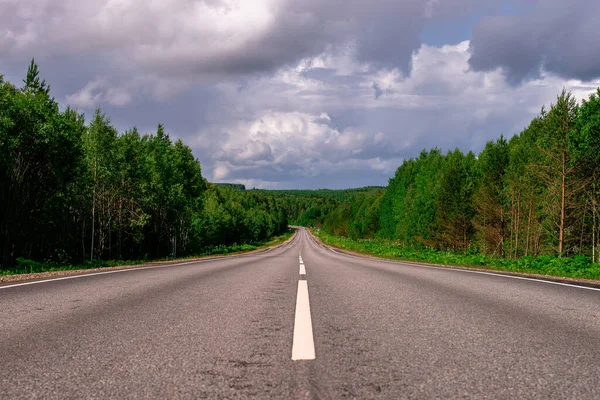 Asfalt bir şehirler arası yol, yeşil bir ormandan geçen beyaz işaretler var..