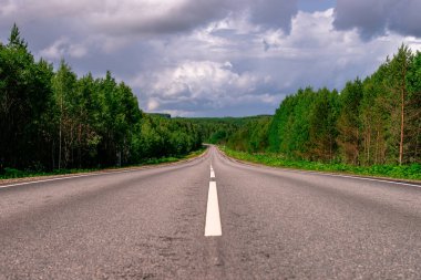 Asfalt bir şehirler arası yol, yeşil bir ormandan geçen beyaz işaretler var..