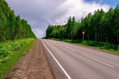 Asfalt bir şehirler arası yol, yeşil bir ormandan geçen beyaz işaretler var..