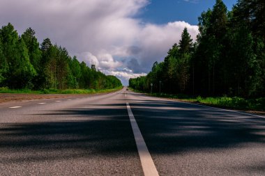 Asfalt bir şehirler arası yol, yeşil bir ormandan geçen beyaz işaretler var..