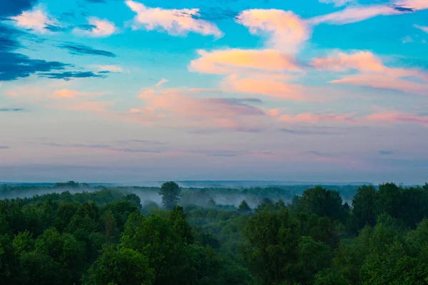 Fog Spreads Lowlands Forest Sunset Evening Landscape Clouds Setting Sky — Stock Photo, Image