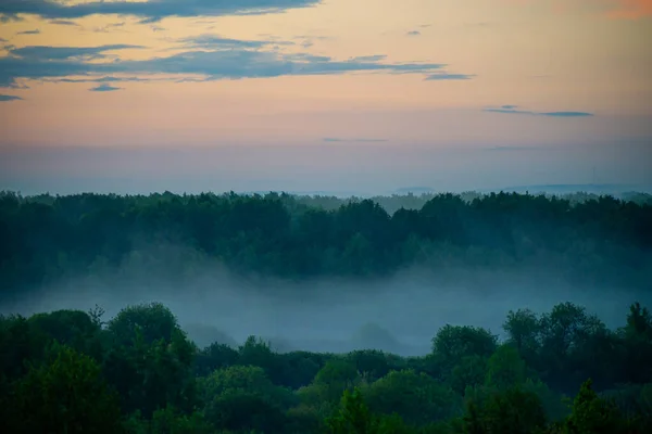 Fog spreads over the lowlands along the forest during sunset. Evening landscape