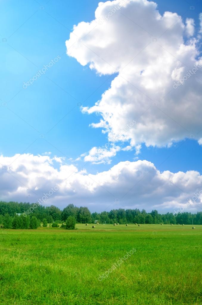 Meadow background