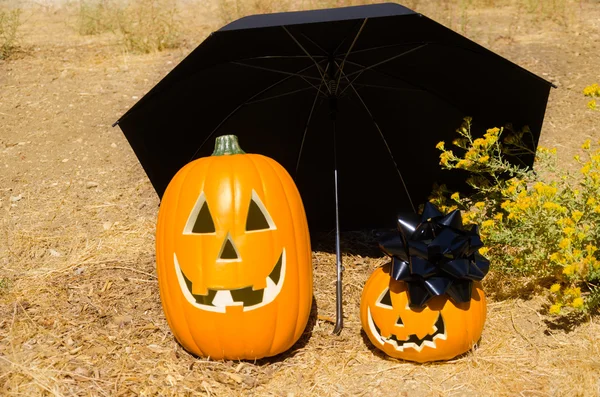 Halloween tök a fűben — Stock Fotó