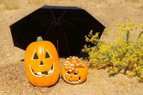 Halloween tök a fűben — Stock Fotó