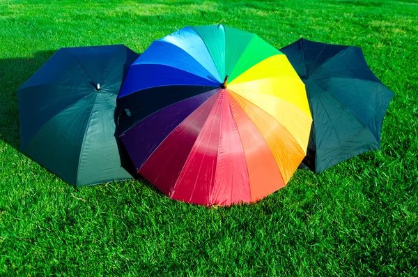 Regenbogen und schwarze Regenschirme auf dem Rasen — Stockfoto