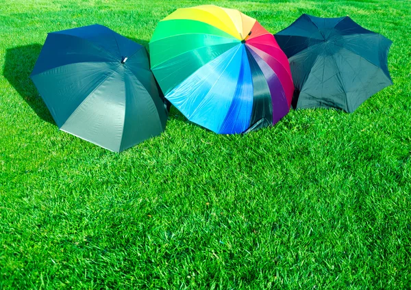 Радуга и черные зонтики на траве — стоковое фото