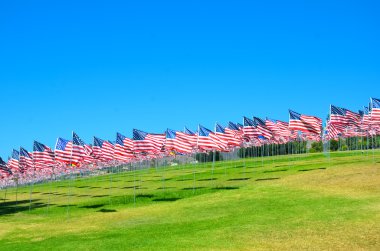 alan Amerikan bayrakları