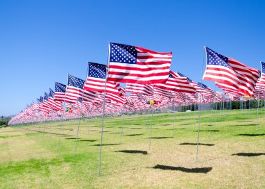 alan Amerikan bayrakları