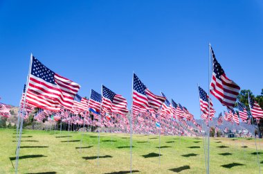 alan Amerikan bayrakları