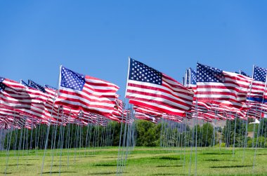 alan Amerikan bayrakları