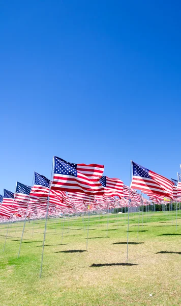 American flags on a field — Stock Photo, Image