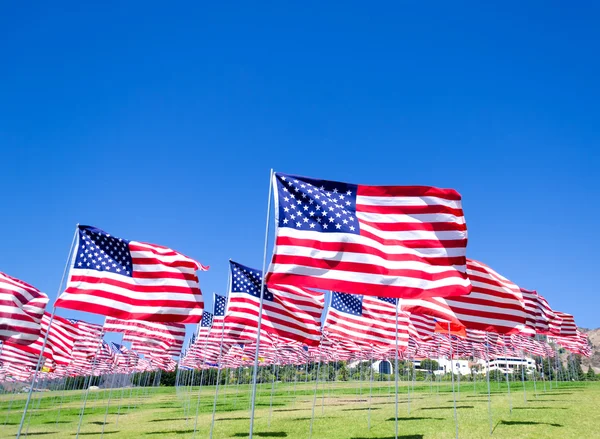 American flags on a field — Stock Photo, Image