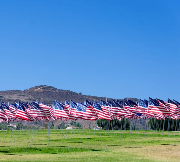 American flags on a field — Stock Photo, Image