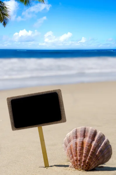 Placa con concha marina en la playa de arena —  Fotos de Stock