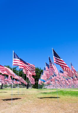 alan Amerikan bayrakları