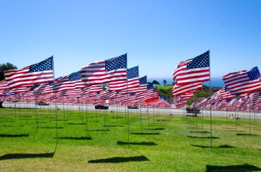 alan Amerikan bayrakları