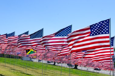 alan Amerikan bayrakları