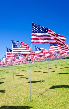 alan Amerikan bayrakları