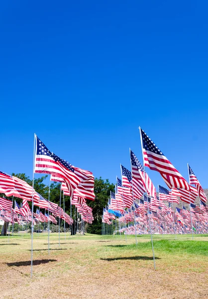 alan Amerikan bayrakları