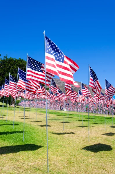 alan Amerikan bayrakları