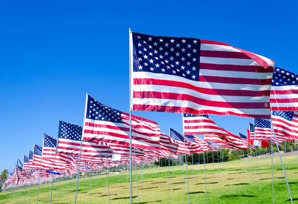 Banderas americanas en un campo —  Fotos de Stock