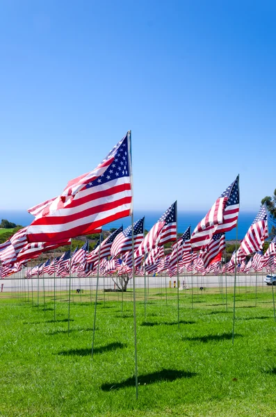 American flags on a field — Stock Photo, Image