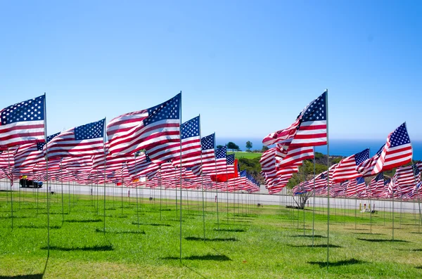 Drapeaux américains sur un champ — Photo