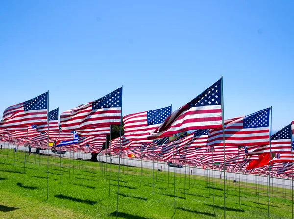 American flags on a field — Stock Photo, Image