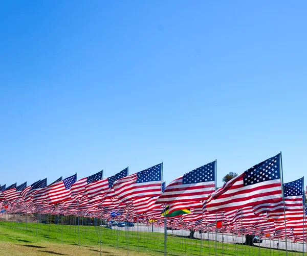 Bandeiras americanas em um campo — Fotografia de Stock