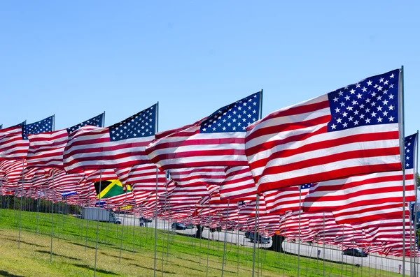 alan Amerikan bayrakları