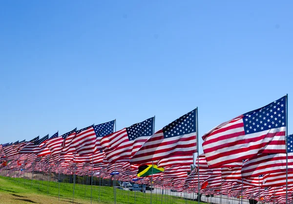 Amerikanska flaggor på ett fält — Stockfoto