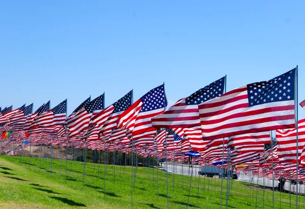 American flags on a field — Stock Photo, Image