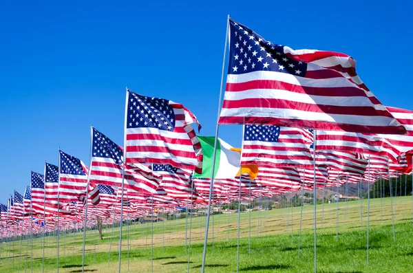 Banderas americanas en un campo —  Fotos de Stock