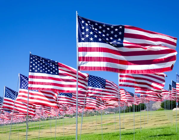 Banderas americanas en un campo —  Fotos de Stock