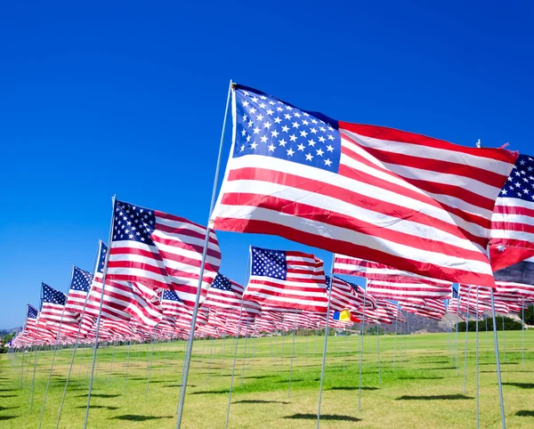 Amerikanska flaggor på ett fält — Stockfoto