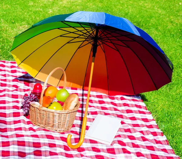 虹の傘、本およびピクニック バスケット — ストック写真