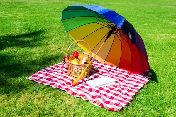 Regenschirm, Buch und Picknickkorb — Stockfoto