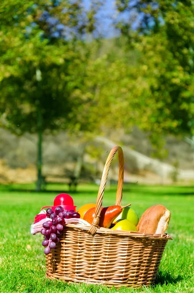 Cesta de piquenique com frutas — Fotografia de Stock